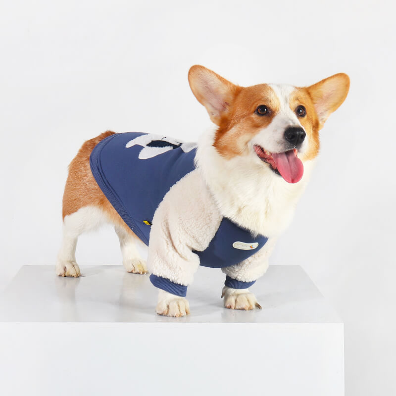 Clothes made shop for corgis