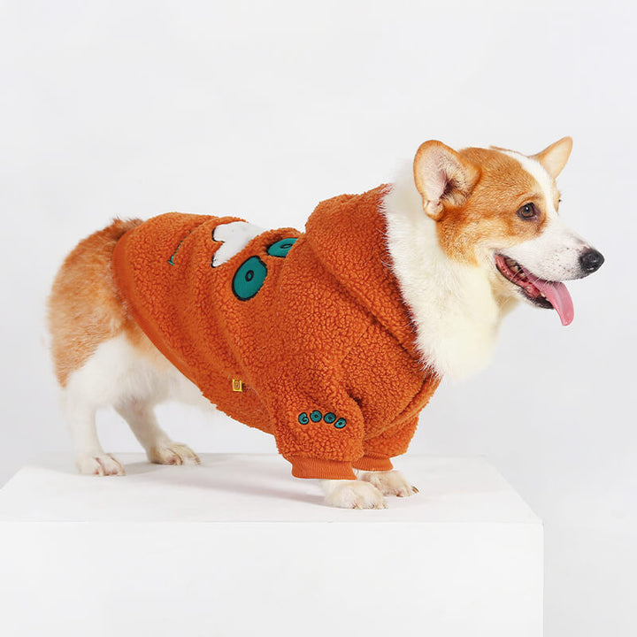 Cute Corgi Dog Outfits