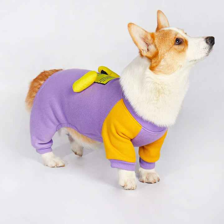 Corgi Snowsuit