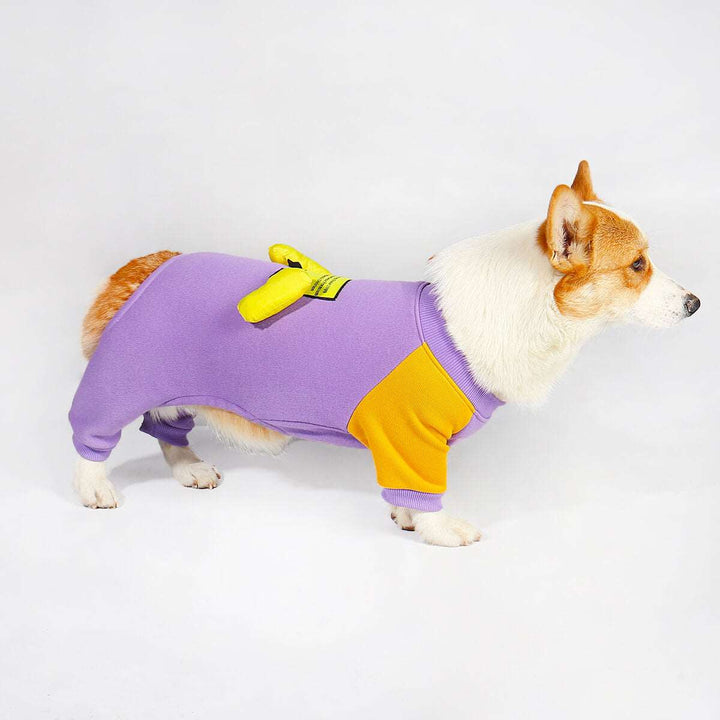 Corgi Snowsuit