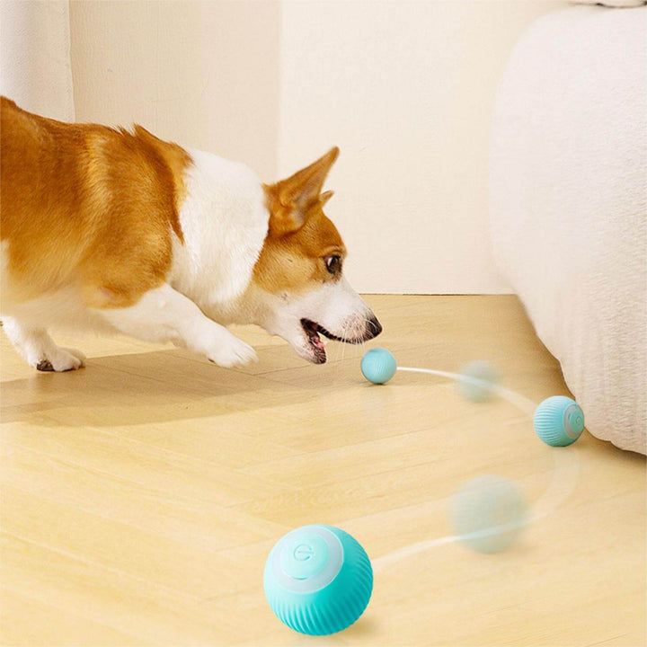 Automatic Tough Chewer Dog Toys