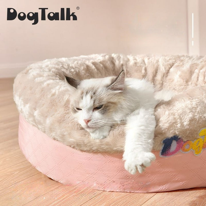 Candy Colored Dog Bed| DogTalk