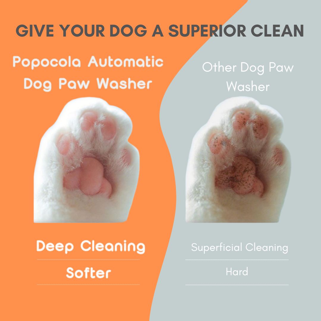 Automatic Dog Paw Washer