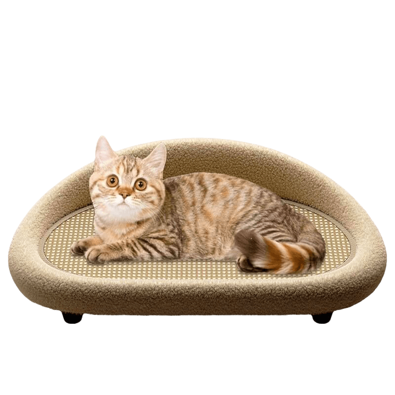 Cat Scratcher Lounger