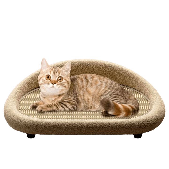 Cat Scratcher Lounger