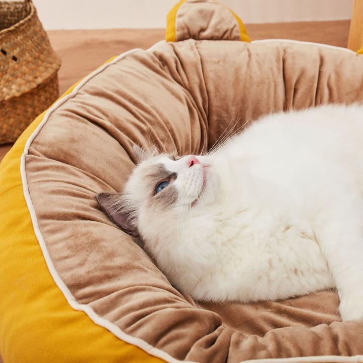 Cute Round Dog/Cat Bed | DogTalk