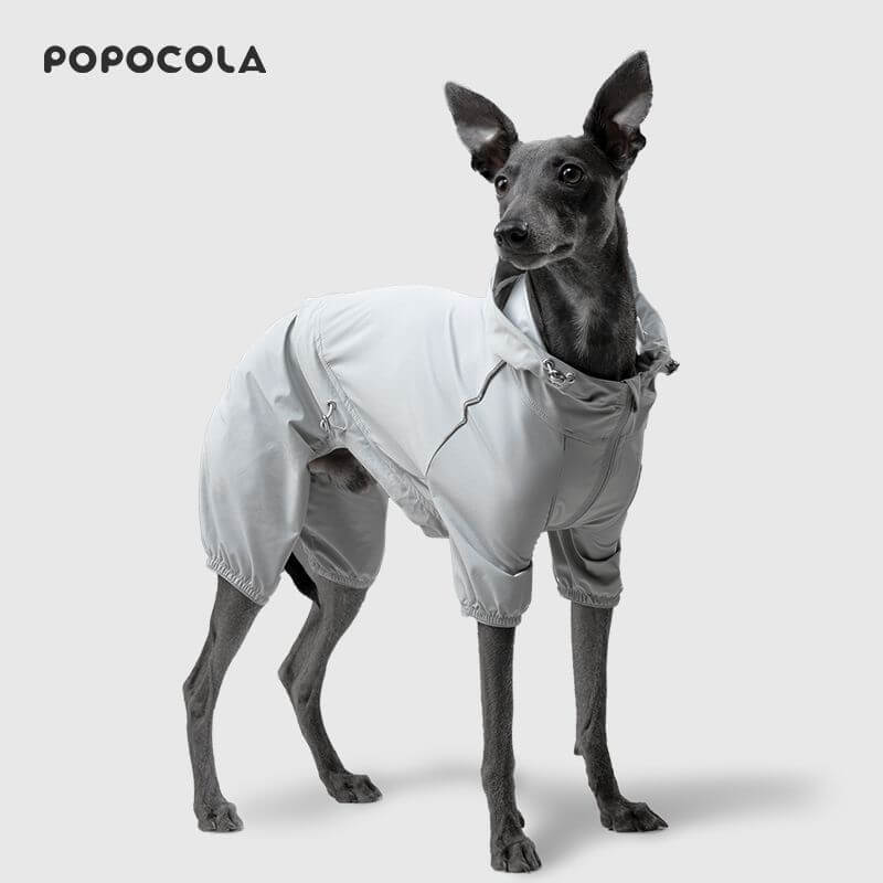 dog raincoat with hood 007