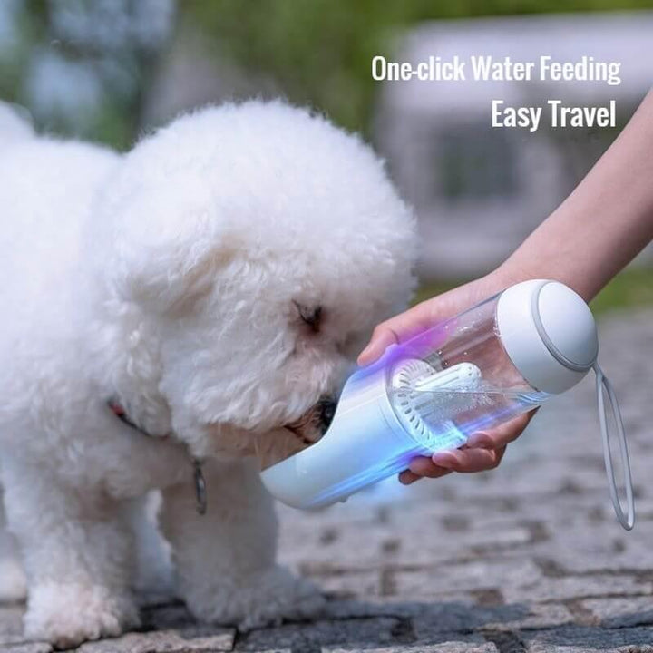 Dog Water Bottle