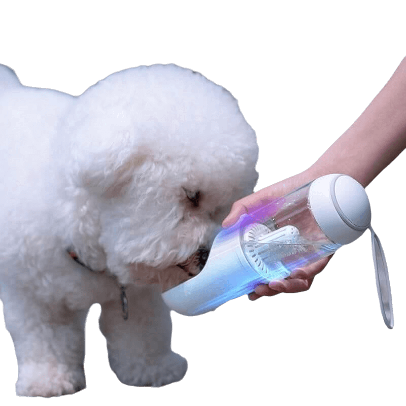 Dog Water Bottle Outdoor