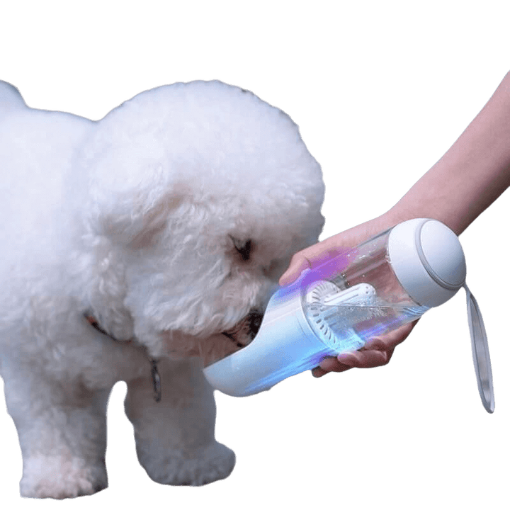 Dog Water Bottle Outdoor