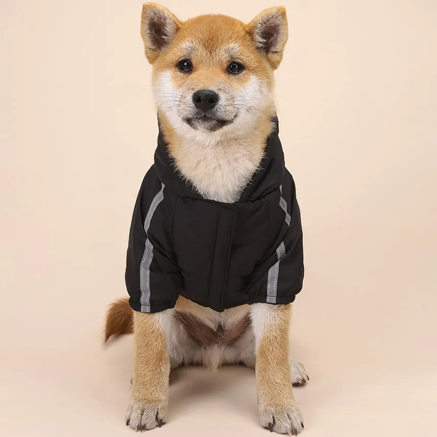 Pet Dog Winter  Waterproof Coat Puppy Warm Jacket - PetDocile