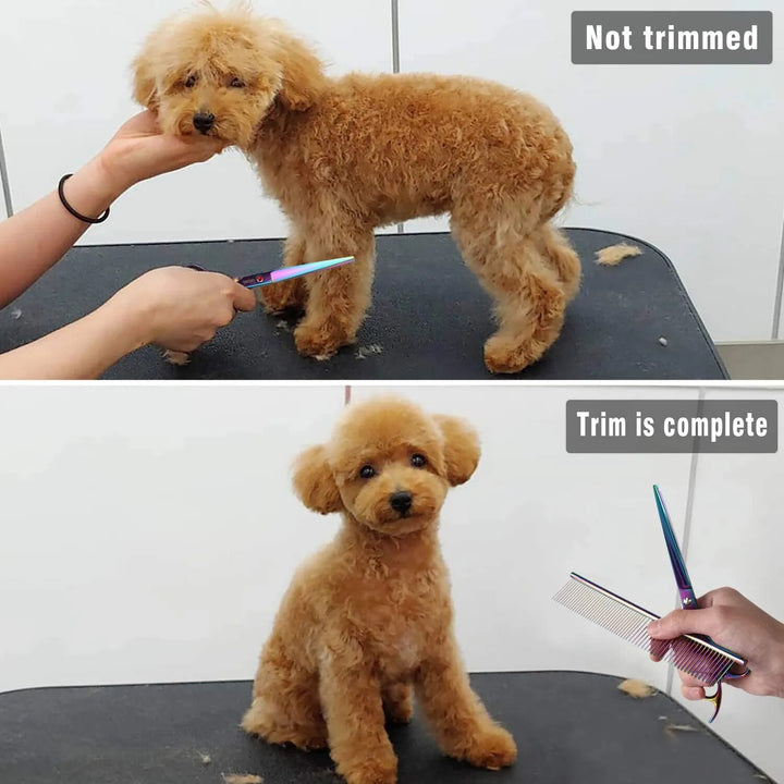 Dog Grooming Scissors - PetDocile