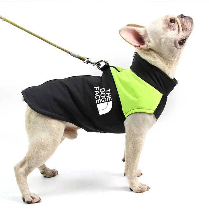 Waterproof Warm Dog Clothes - PetDocile
