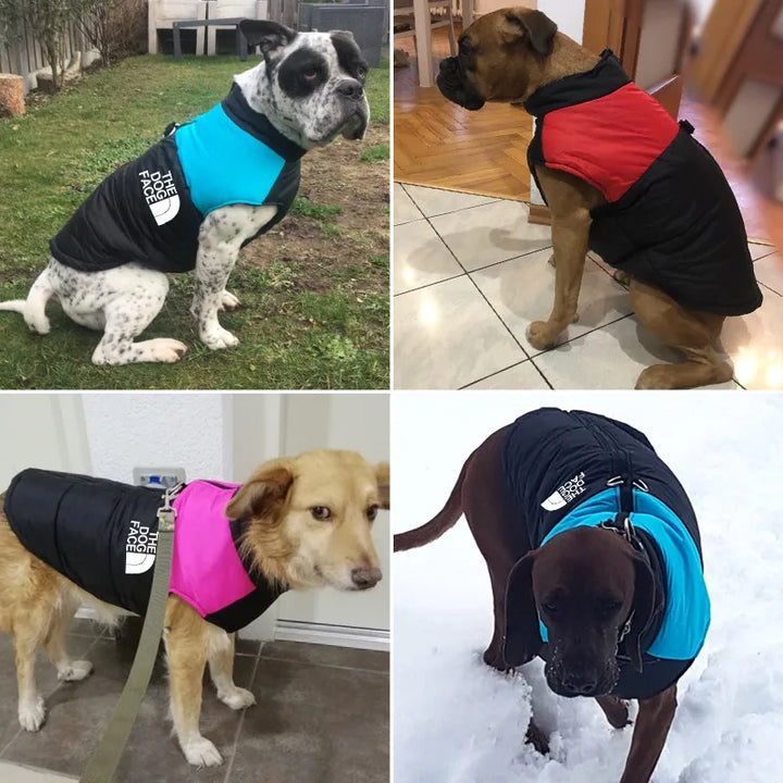 Waterproof Warm Dog Clothes - PetDocile