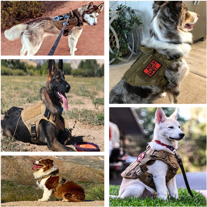 Military Large Dog Harnesses - PetDocile