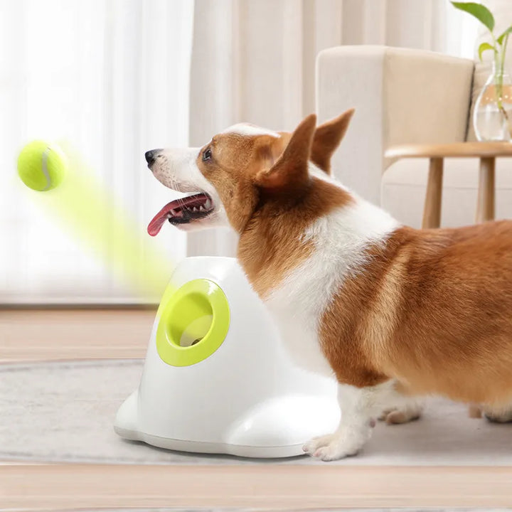 Dog Pet Toys Tennis Launcher Automatic Throwing Machine - PetDocile