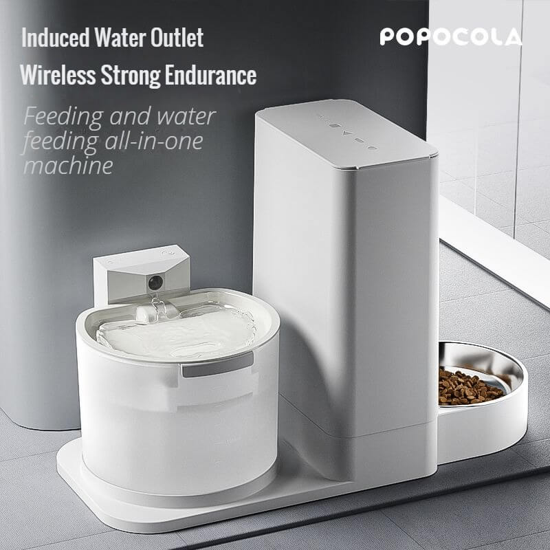 automatic water and food dispenser for dogs  007