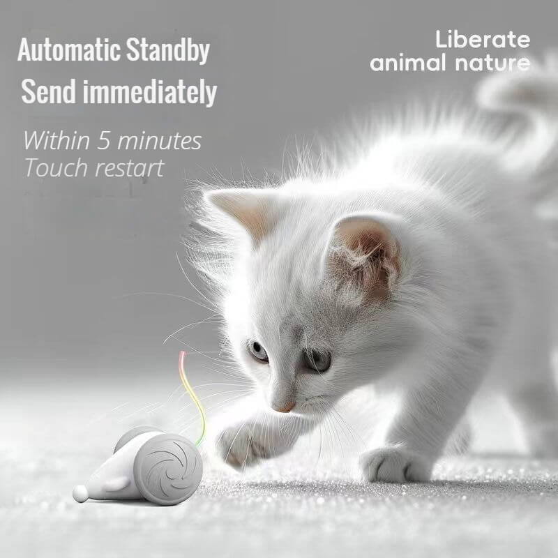 interactive cat toys 002