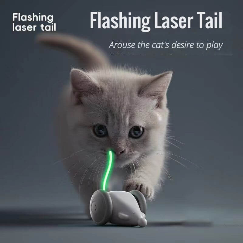 interactive cat toys 003