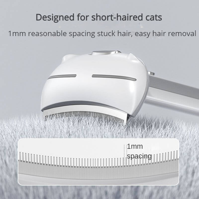 cat brushing hair for short hair 002