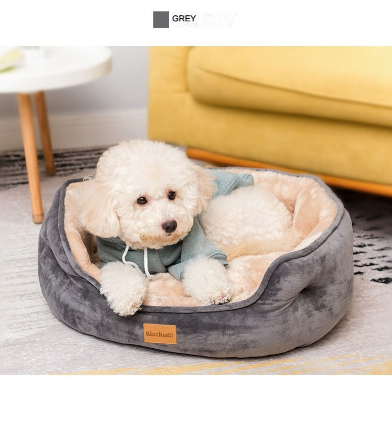 Beige Cute Dog Bed | DogTalk