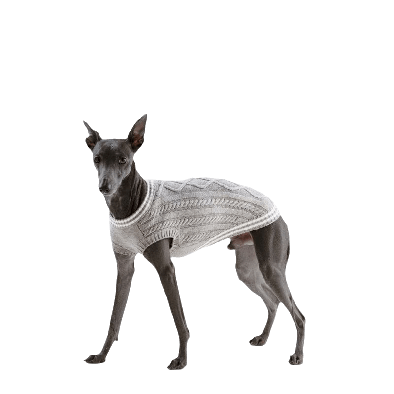 Dog Sweater For Small Dogs