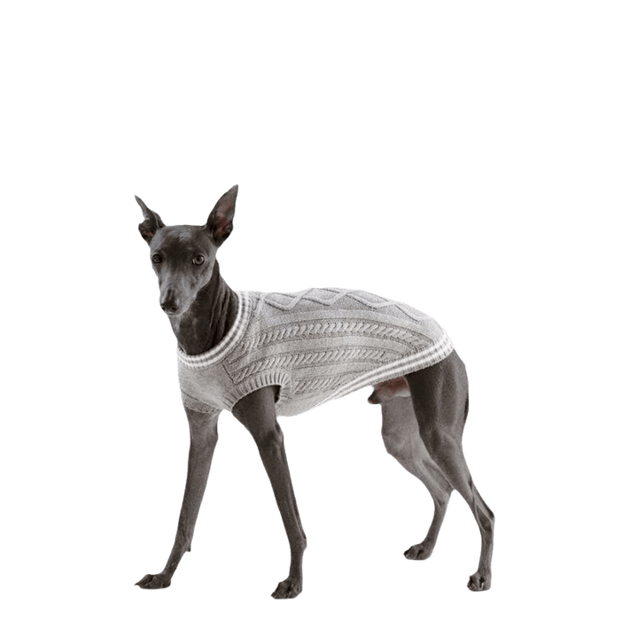 Dog Sweater For Small Dogs