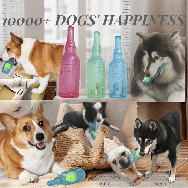 Dog Bottle Toy